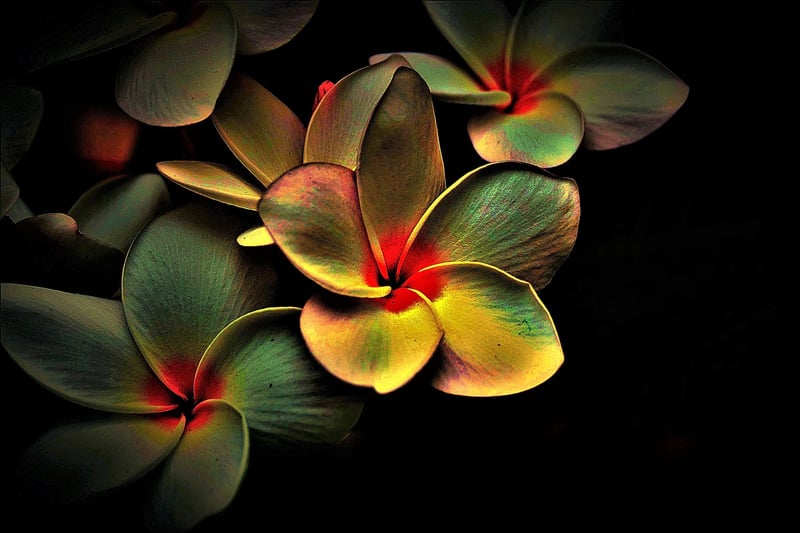 Abstract image